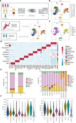 The significance of CD16+ monocytes in the occurrence and development of chronic thromboembolic pulmonary hypertension: insights from single-cell RNA sequencing